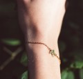 IMG_4431.jpeg