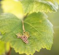 IMG_4461.jpeg